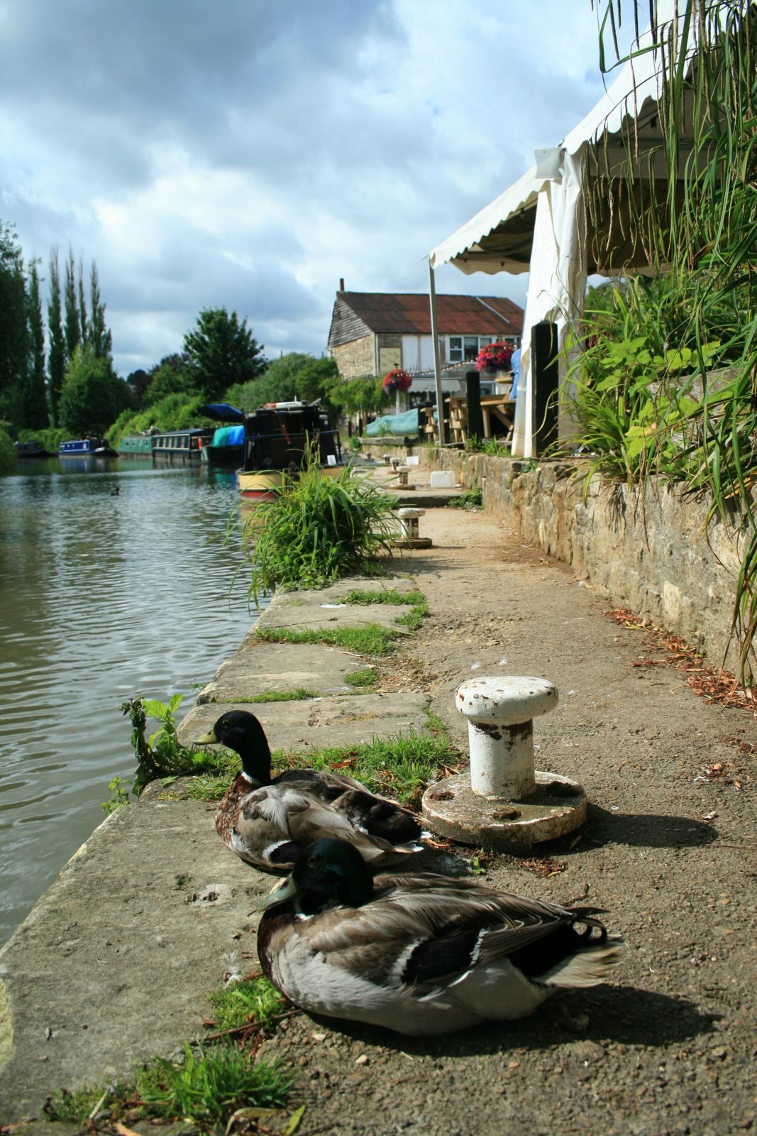 The Kennet and Avon canal — photo 1 of 3